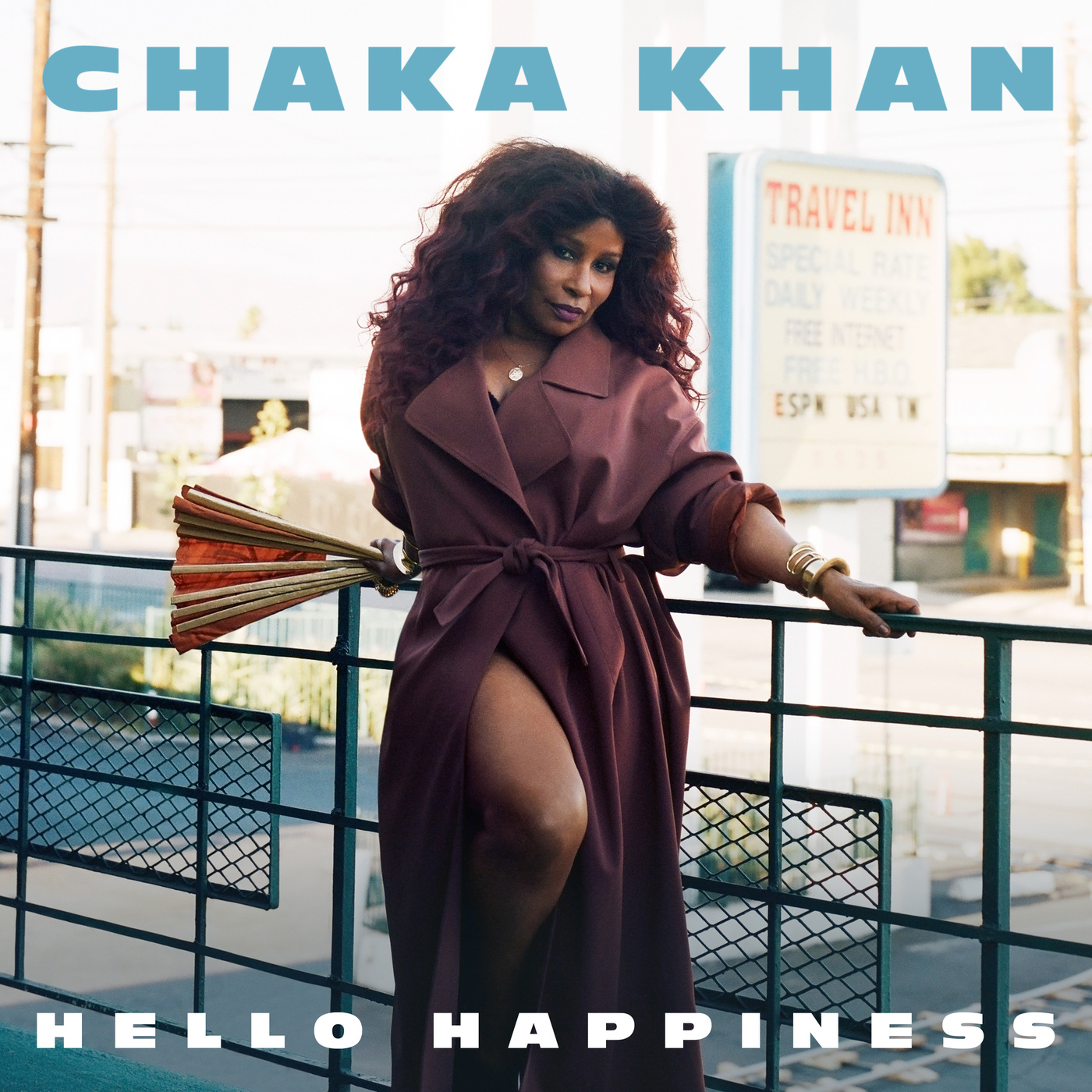 Chaka Khan  Hello Happiness : Front